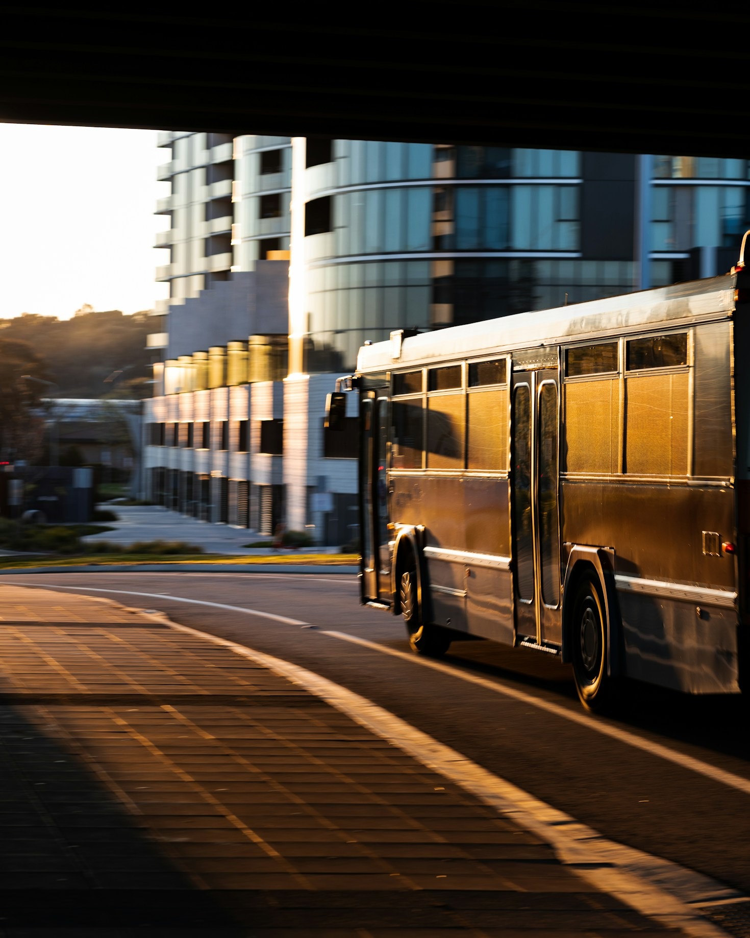 Exploring U.S. Cities by Bus: A Complete Guide